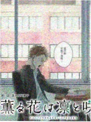 欢乐大本营 综艺